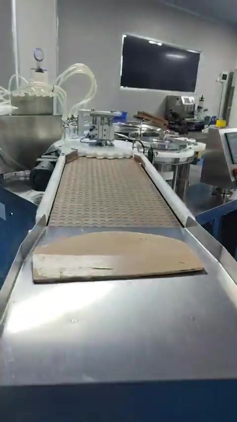 Automated Multi-Head Vial Filling
